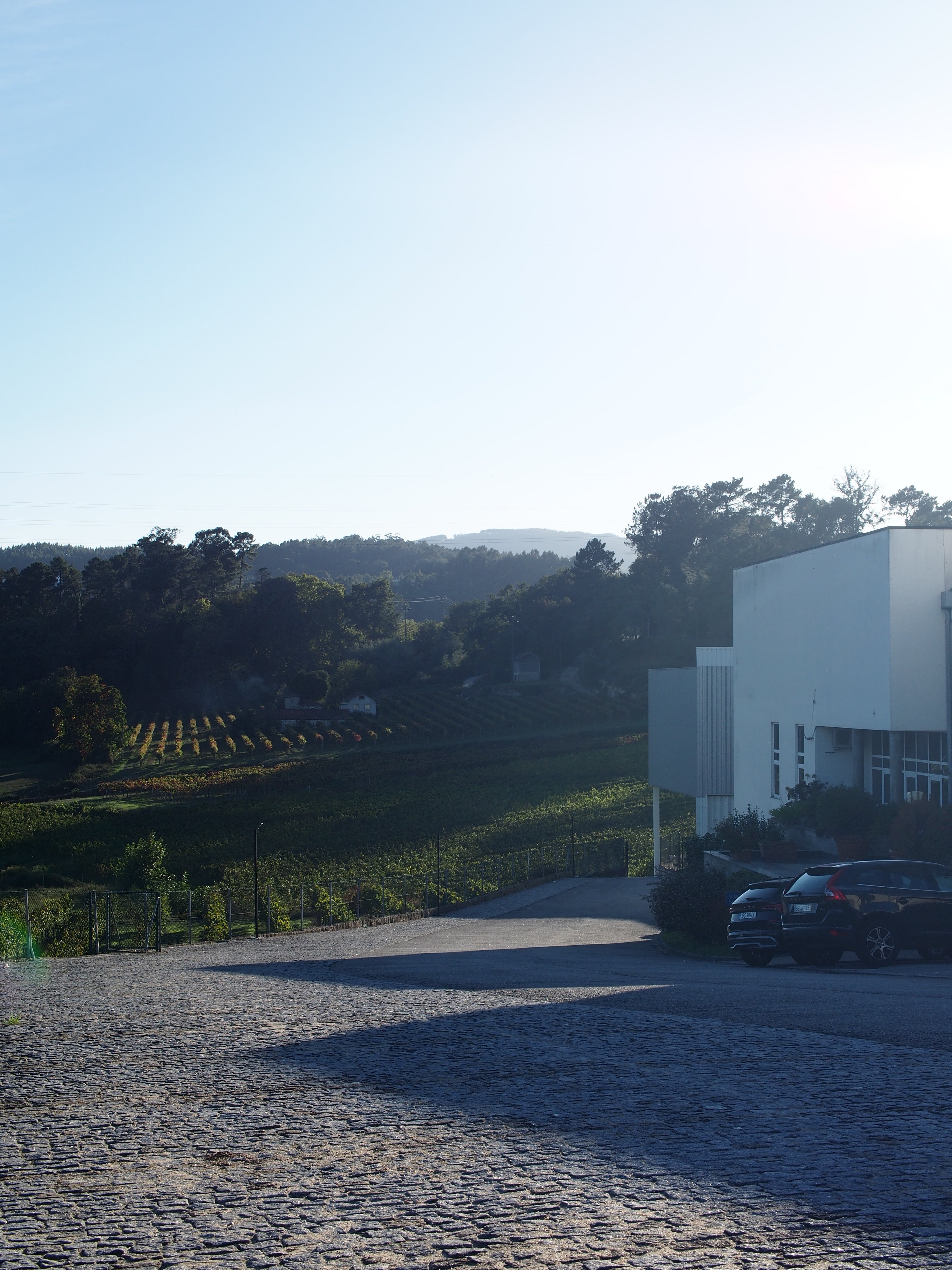Modern white building with two parked cars in front, overlooking rows of vineyards stretching across rolling hills under soft, low sunlight.