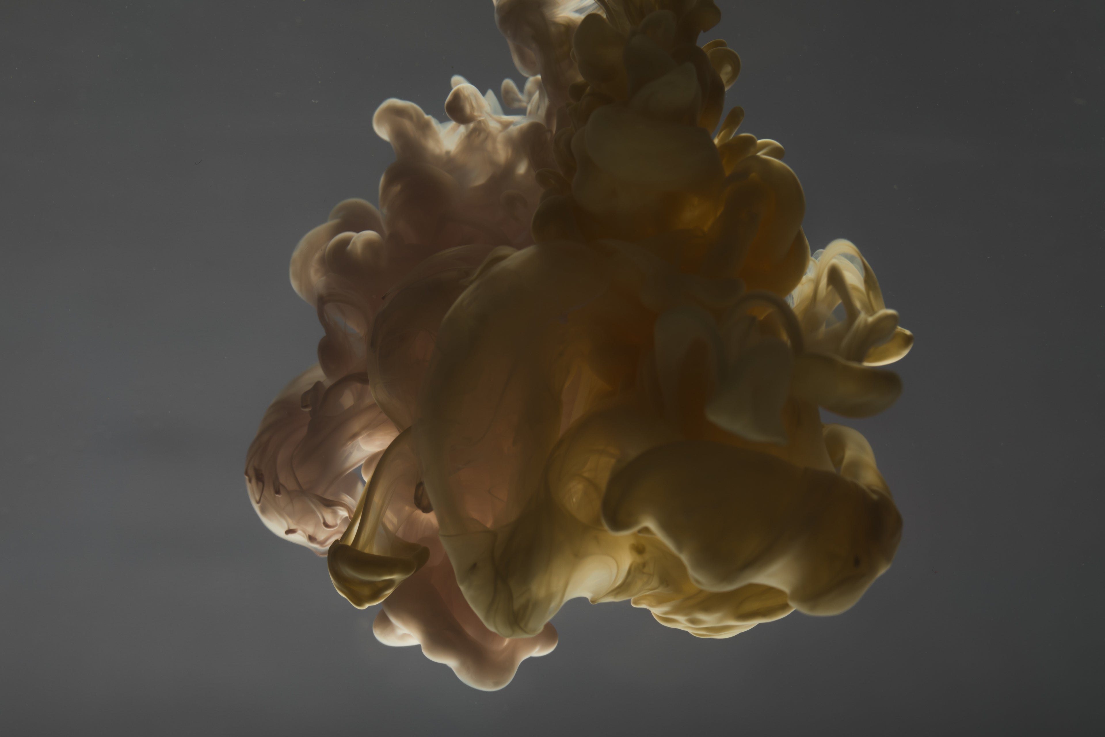 Swirling beige and brown ink clouds suspended in water against a neutral background.