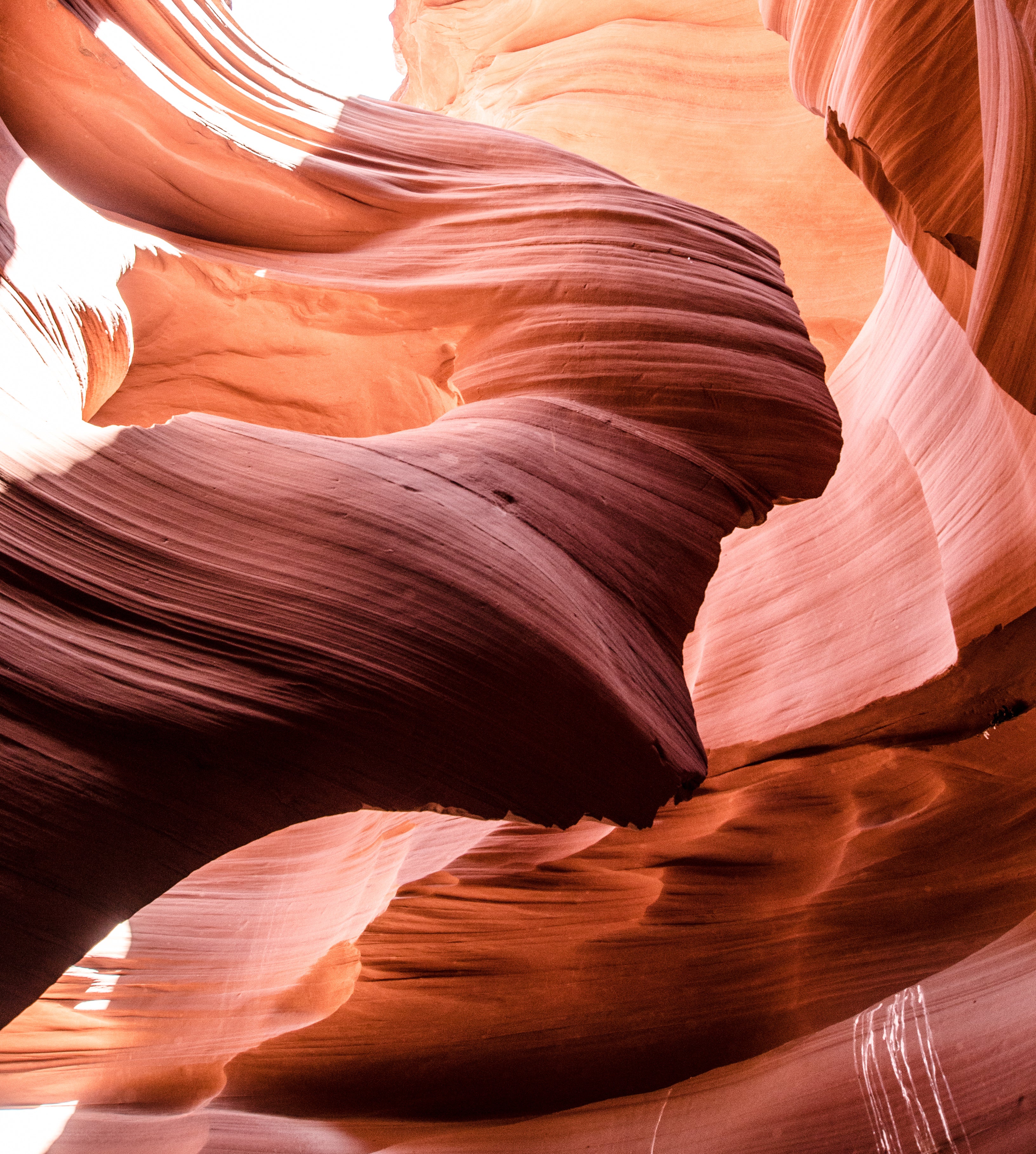 Curved sandstone walls of a narrow canyon illuminated by warm light.